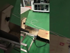 সম্পূর্ণ স্বয়ংক্রিয় সফটজেল ক্যাপসুল পরিদর্শন মেশিন